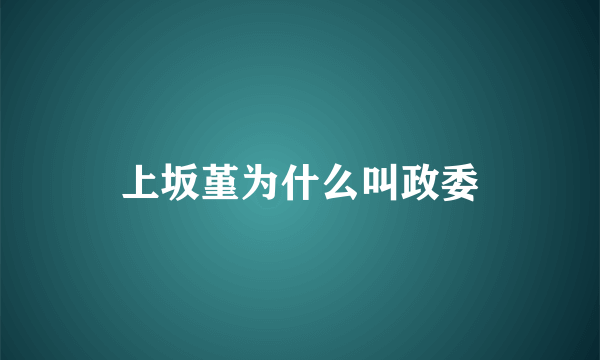 上坂堇为什么叫政委