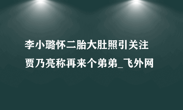 李小璐怀二胎大肚照引关注 贾乃亮称再来个弟弟_飞外网