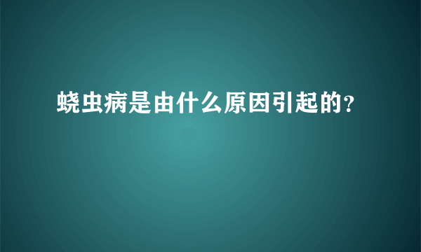 蛲虫病是由什么原因引起的？