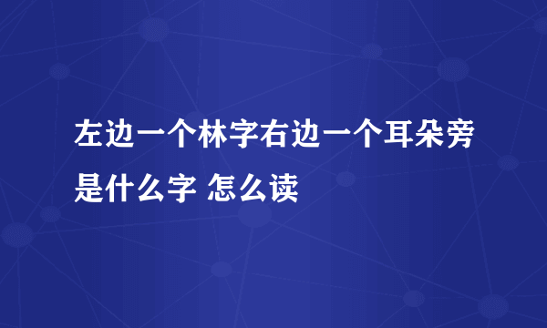 左边一个林字右边一个耳朵旁是什么字 怎么读