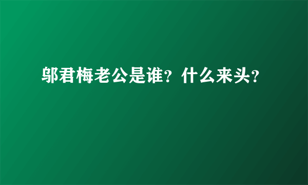 邬君梅老公是谁？什么来头？