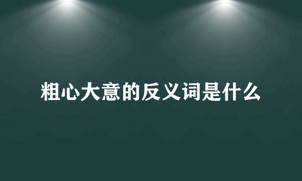 粗心大意的反义词是什么