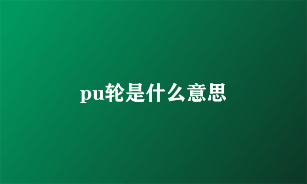 pu轮是什么意思