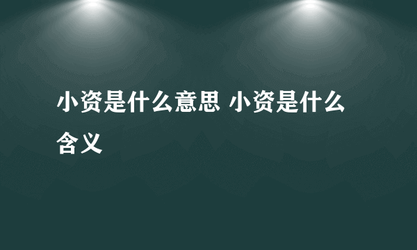 小资是什么意思 小资是什么含义