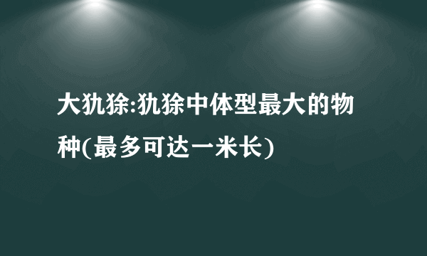 大犰狳:犰狳中体型最大的物种(最多可达一米长)