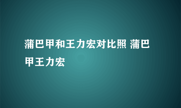 蒲巴甲和王力宏对比照 蒲巴甲王力宏