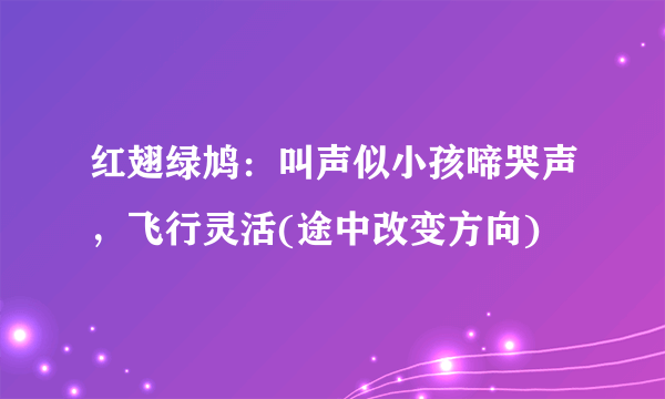 红翅绿鸠：叫声似小孩啼哭声，飞行灵活(途中改变方向)