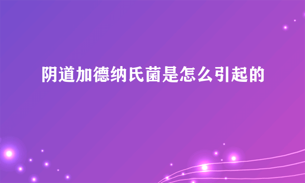 阴道加德纳氏菌是怎么引起的