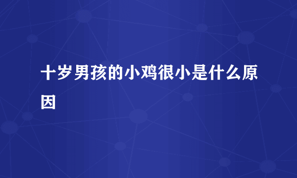 十岁男孩的小鸡很小是什么原因