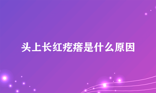 头上长红疙瘩是什么原因