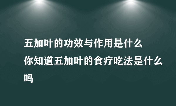 五加叶的功效与作用是什么 你知道五加叶的食疗吃法是什么吗