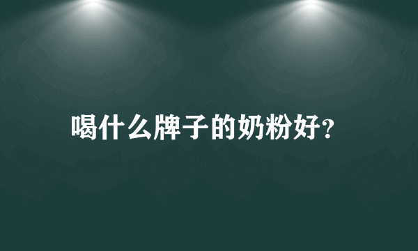 喝什么牌子的奶粉好？