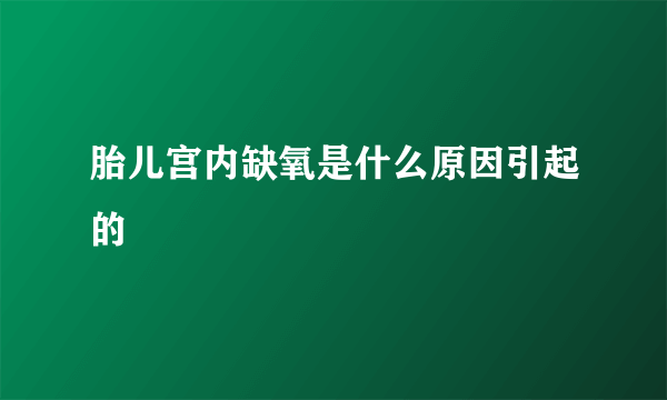 胎儿宫内缺氧是什么原因引起的