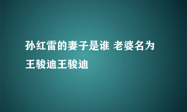 孙红雷的妻子是谁 老婆名为王骏迪王骏迪