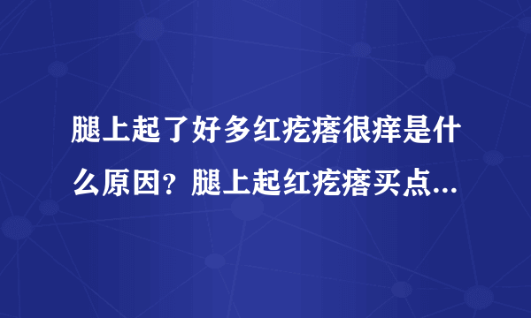 腿上起了好多红疙瘩很痒是什么原因？腿上起红疙瘩买点啥药膏能治好