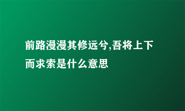 前路漫漫其修远兮,吾将上下而求索是什么意思