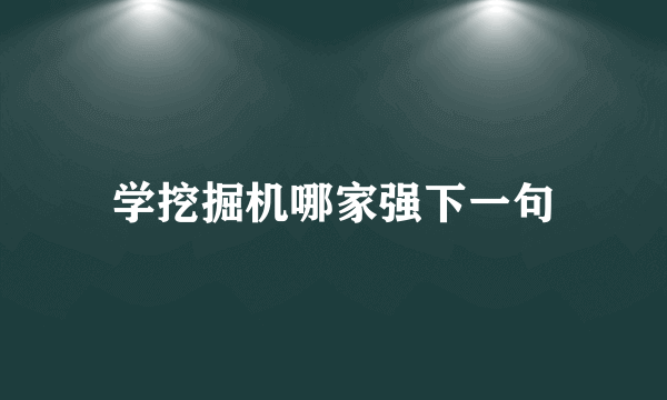 学挖掘机哪家强下一句