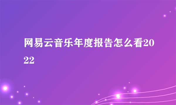 网易云音乐年度报告怎么看2022