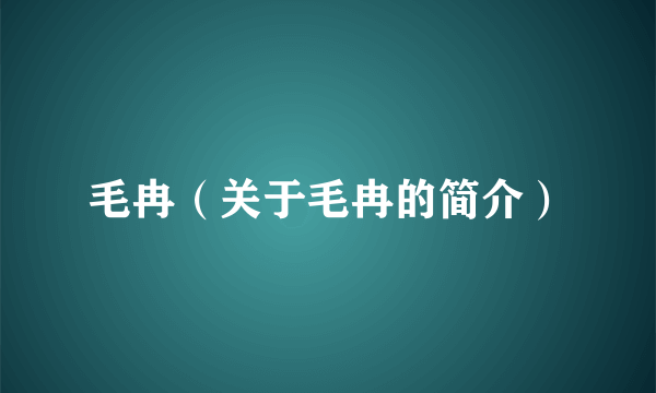 毛冉（关于毛冉的简介）