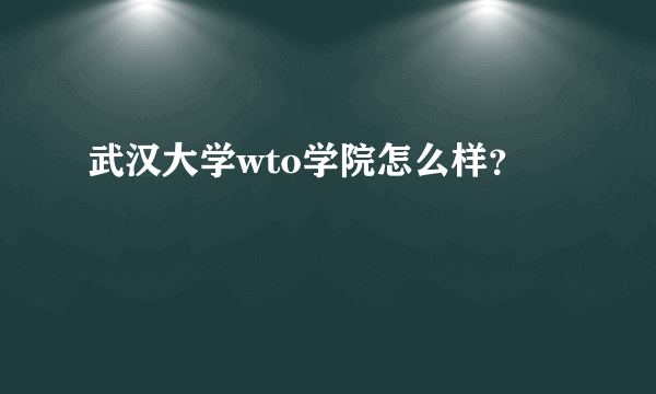 武汉大学wto学院怎么样？