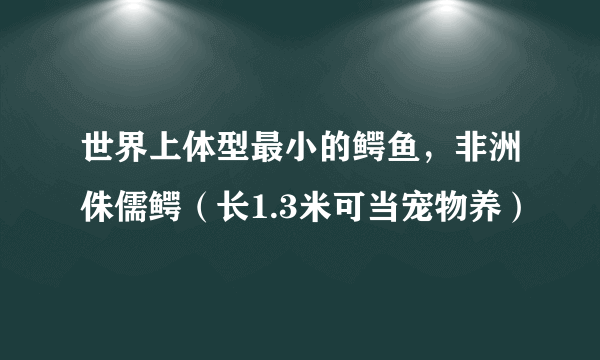 世界上体型最小的鳄鱼，非洲侏儒鳄（长1.3米可当宠物养）