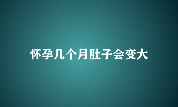 怀孕几个月肚子会变大