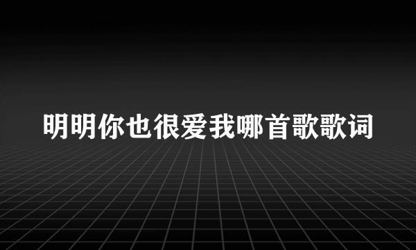 明明你也很爱我哪首歌歌词