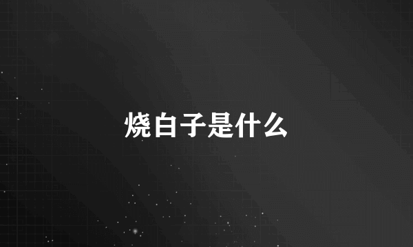 烧白子是什么