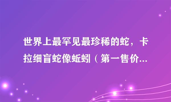 世界上最罕见最珍稀的蛇，卡拉细盲蛇像蚯蚓（第一售价350万）