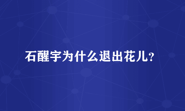 石醒宇为什么退出花儿？