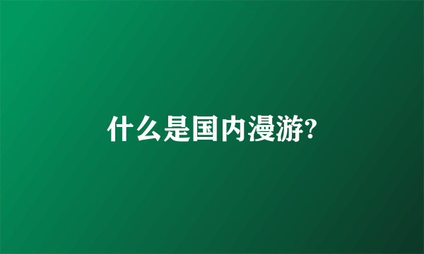 什么是国内漫游?