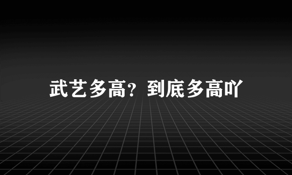 武艺多高？到底多高吖