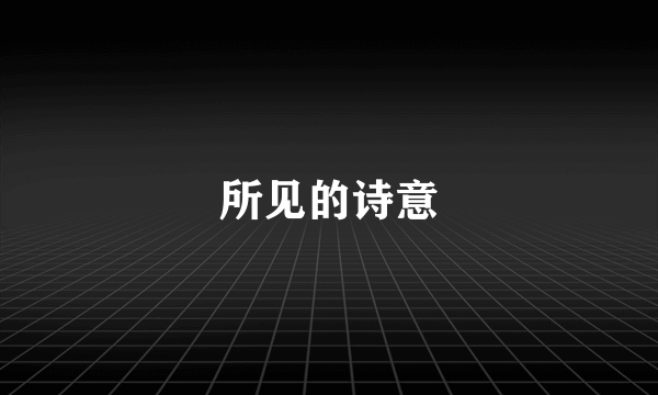 所见的诗意