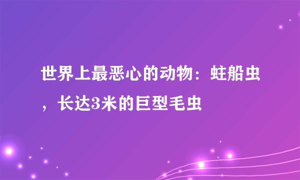 世界上最恶心的动物：蛀船虫，长达3米的巨型毛虫