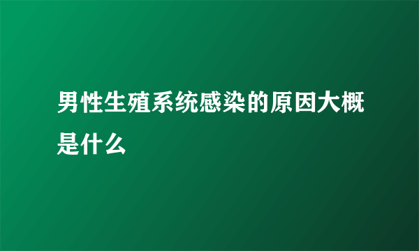 男性生殖系统感染的原因大概是什么