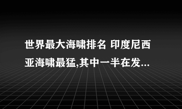 世界最大海啸排名 印度尼西亚海啸最猛,其中一半在发生于日本