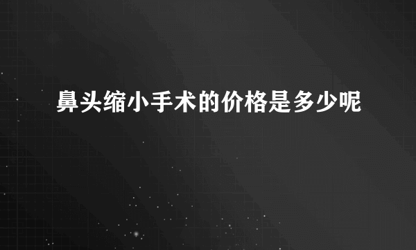 鼻头缩小手术的价格是多少呢