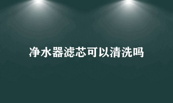 净水器滤芯可以清洗吗