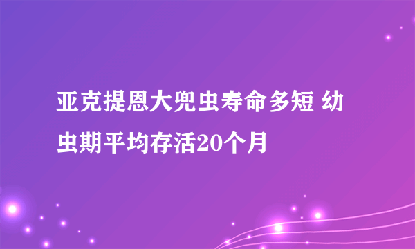 亚克提恩大兜虫寿命多短 幼虫期平均存活20个月