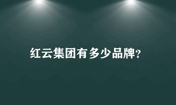 红云集团有多少品牌？