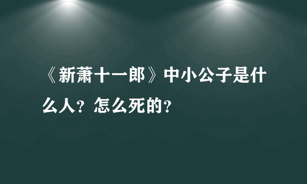 《新萧十一郎》中小公子是什么人？怎么死的？