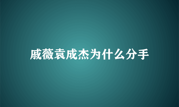 戚薇袁成杰为什么分手