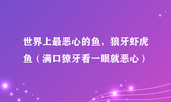 世界上最恶心的鱼，狼牙虾虎鱼（满口獠牙看一眼就恶心）