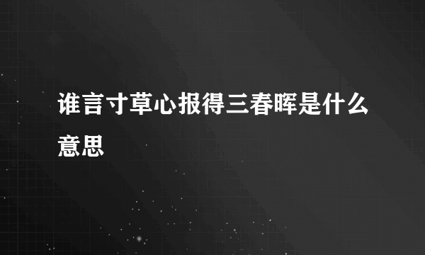 谁言寸草心报得三春晖是什么意思