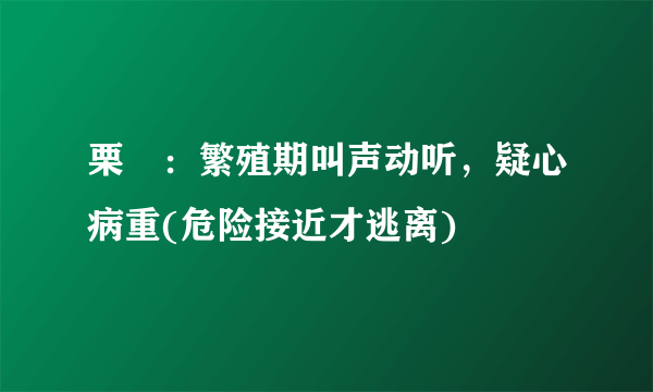 栗鹀：繁殖期叫声动听，疑心病重(危险接近才逃离)