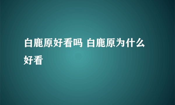 白鹿原好看吗 白鹿原为什么好看