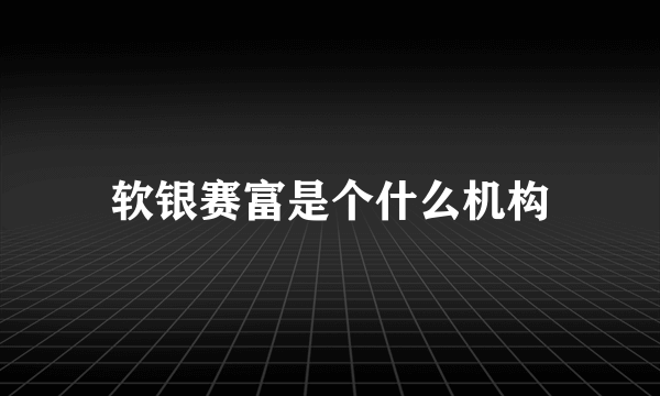 软银赛富是个什么机构