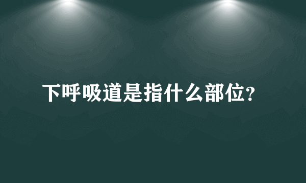 下呼吸道是指什么部位？