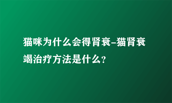 猫咪为什么会得肾衰-猫肾衰竭治疗方法是什么？