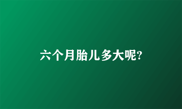 六个月胎儿多大呢?